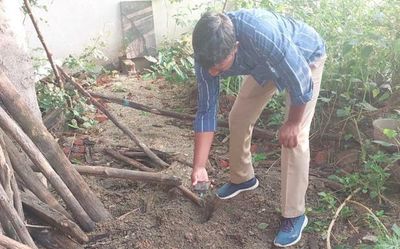 Andhra Pradesh: Leopard attacks devotee at Kuppam temple