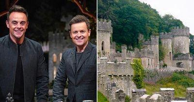 I'm A Celebrity All Stars 'could be filmed at Gwrych Castle' thanks to new cabin