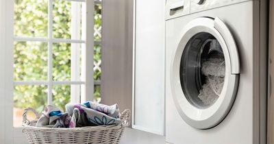 Thousands of us have no idea what the three trays in our washing machines are for