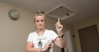 Rowdy rodents are a 'fire risk' says EK woman battling to banish them from home