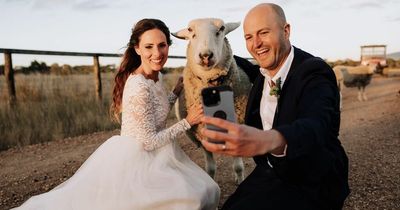 Animal-mad vegan couple celebrate wedding with photoshoot that includes favourite sheep