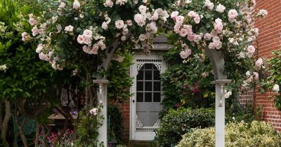 'My next door neighbour is posting photos of my garden on Instagram and pretending it's hers'