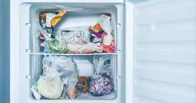 Money-savvy man reveals why your freezer guzzles so much energy - and how to stop it
