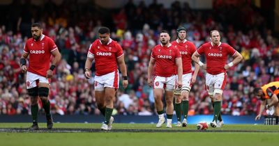 Welsh rugby warned it must act now to head off a crisis that looms after the next World Cup