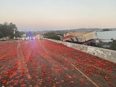 Truck spills 150,000 tomatoes on California highway