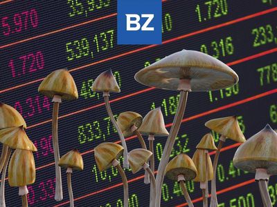 4 Psychedelics Companies Post Financial Results: Learn How Field Trip, Wesana, Braxia and Irwin Naturals Performed