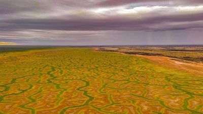 Storm cells sweep across outback Queensland bringing 'unusually' wet start to spring
