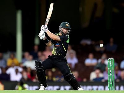 Wade's Hundred heroics set to be in vain