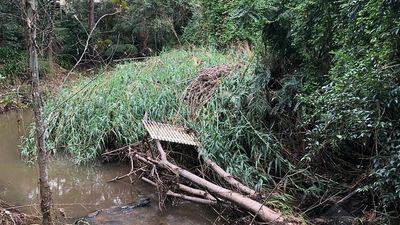 Landcare warns climate-driven crisis hampering community projects across Australia