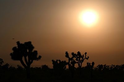 'Dangerous' heat wave hits southwestern US