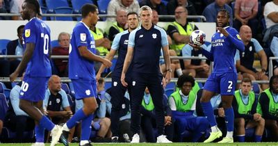 Steve Morison says Cardiff City are working 'as hard as anyone in the Football League' to sign striker before deadline