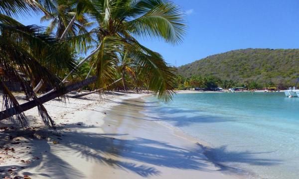 David Cameron under pressure to end tax haven secrecy