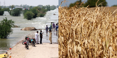 A climate scientist on the planet's simultaneous disasters, from Pakistan’s horror floods to Europe’s record drought