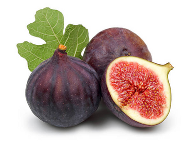 Himalayan Fig or 'Bedu' features in PM Modi's Mann ki Baat; know about the medicinal plant found in northern India