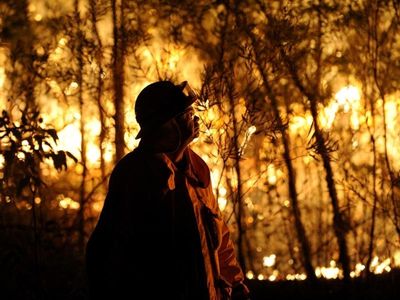 Big grassfire season forecast for NSW