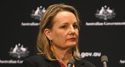 Sussan Ley said Australia has no electric utes. Her government is to blame, says expert
