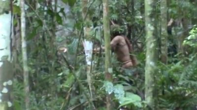 What are uncontacted tribes and are there more people like the 'Man of the Hole'?