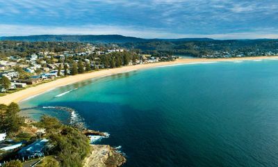 Shark attack: teenage surfer bitten on arm at Avoca beach on NSW Central Coast