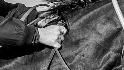 Two horse racing participants suspended after launching investigation into photos of possible electronic 'jigger' being used