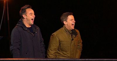 I'm A Celebrity hosts Ant & Dec spotted 'sky diving' as ITV show approaches Australian return