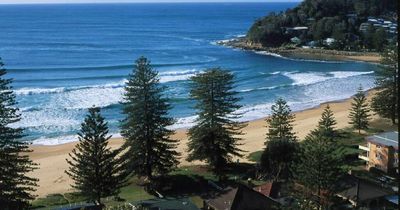 Teenage surfer attacked by a shark on the Central Coast