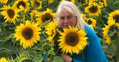 Gloagburn sunflower trail a reminder of home for grateful Ukrainian family who found sanctuary in Perthshire