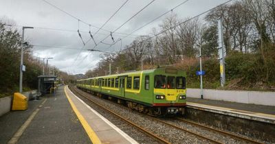 DART passengers terrified as gang of teens block exit 'to start fights' with innocent people