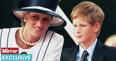 Princess Diana would be 'thrilled' Harry has realised her dream of living in US, says expert