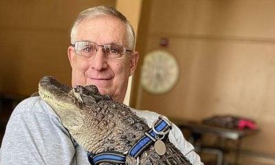 ‘If you don’t know what you’re doing, you’ll get bit’: can an alligator be man’s best friend?