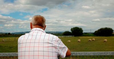 Man who has lived in shipping container for 30 years is evicted by council