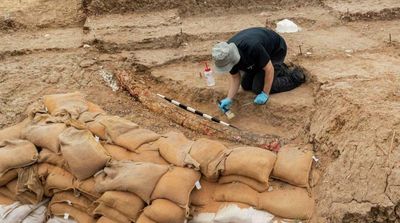 Israeli Archaeologists Dig Up Large Tusk of Ancient Elephant