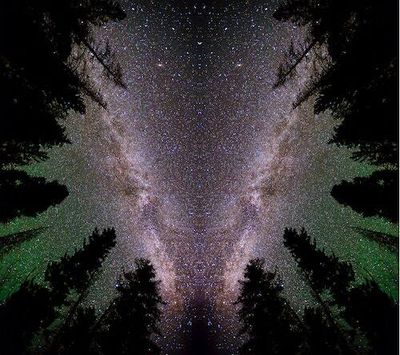 A powerful “umbrella” satellite will count every single tree on Earth