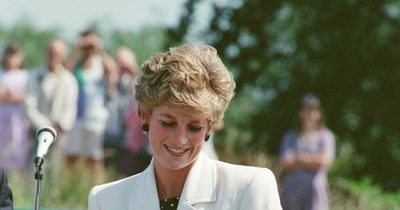 Remembering Diana: Website set up for people to pay tribute to princess 25 years on