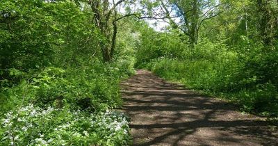 Nude runner spotted at Cardiff nature reserve sparks concern from some residents