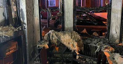 Belfast house destroyed in fire after electric bike left charging overnight