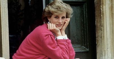'Princess Diana would be alive today if I was in charge', claims ex- royal security cop