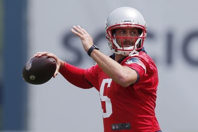 Julian Edelman believes Brian Hoyer could play pivotal role for Patriots