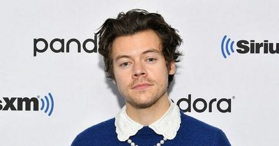 Harry Styles rumoured to have bought 'saddest ever' Grand Designs house for £8m