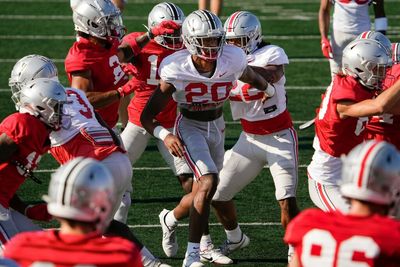 Ohio State safety Sonny Styles sheds black stripe