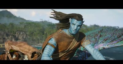 Disney Plus fans furious after Avatar taken offline ahead of cinema re-release