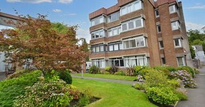 Quirky Glasgow one-bed studio flat in 'desirable' area on sale for £69,000