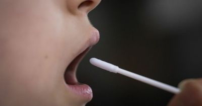 Government lowers UK Covid-19 alert level