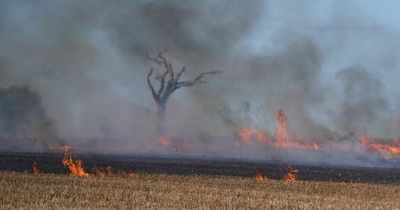 Fire breaks out at NI field made famous by Rihanna