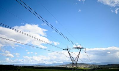 Burning native forest wood waste for electricity shouldn’t be classed as renewable energy, Senate report suggests