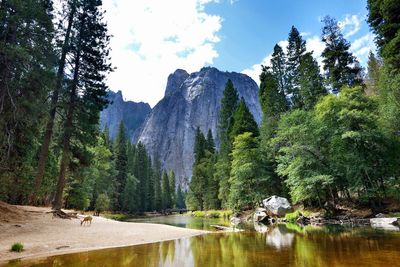 Pro climber Charles Barrett arrested for alleged sexual assault at Yosemite National Park