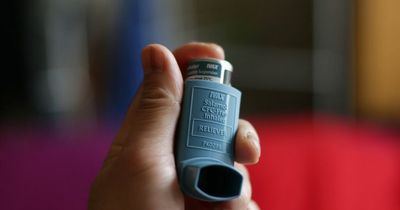 Asthma attack spike feared as children return to schools for new term