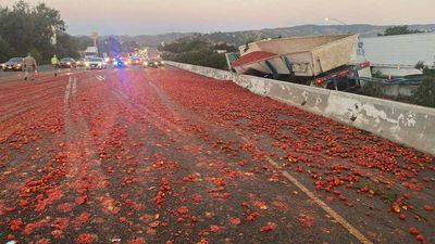 Truck Spills Tomatoes On California Highway Creating Chaos And Ketchup