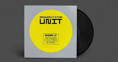 Regurgitator relive classic album Unit in Canberra