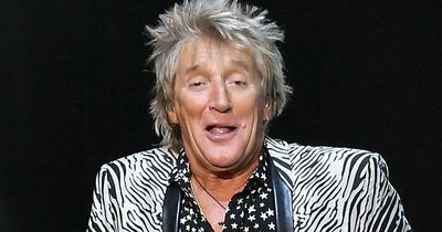 Rod Stewart's hilarious response as fan shares bizarre grassy building lookalike