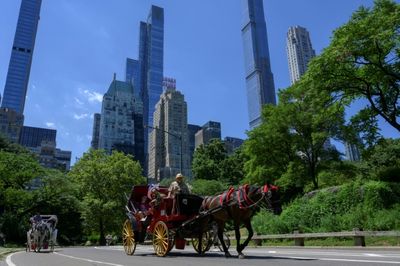 End of the road for New York's horse-drawn carriages?